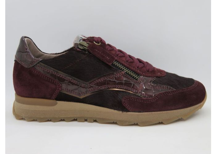 Dlsport 21617 Sneaker Bordo