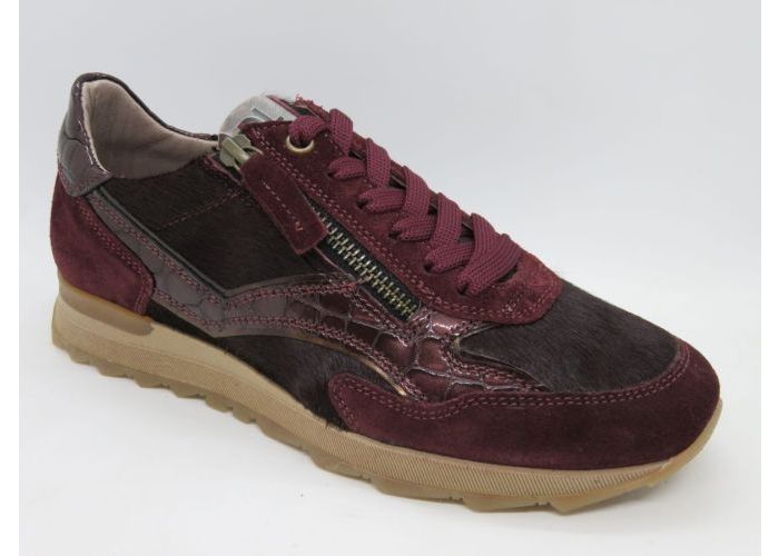 Dlsport 21617 Sneaker Bordo