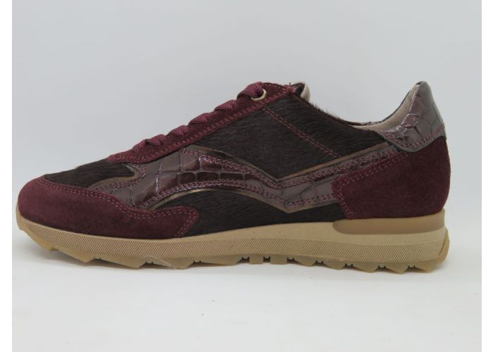 Dlsport 21617 Sneaker Bordo