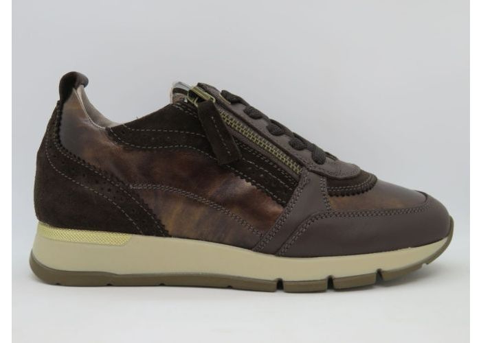 Dlsport 21618 Sneaker Bruin