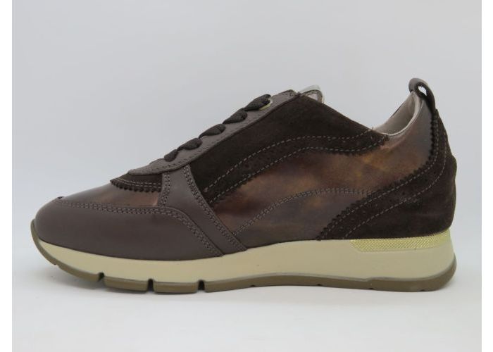 Dlsport 21618 Sneaker Bruin