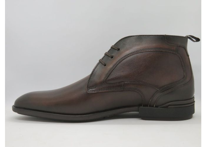 Floris Van Bommel 21753 Botien Bruin
