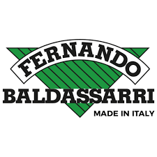 FERNANDO BALDASSARRI
