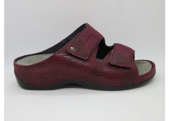 Damesschoenen Berkemann Slipper / 2 klevers FINJA 01021-218 Bordo