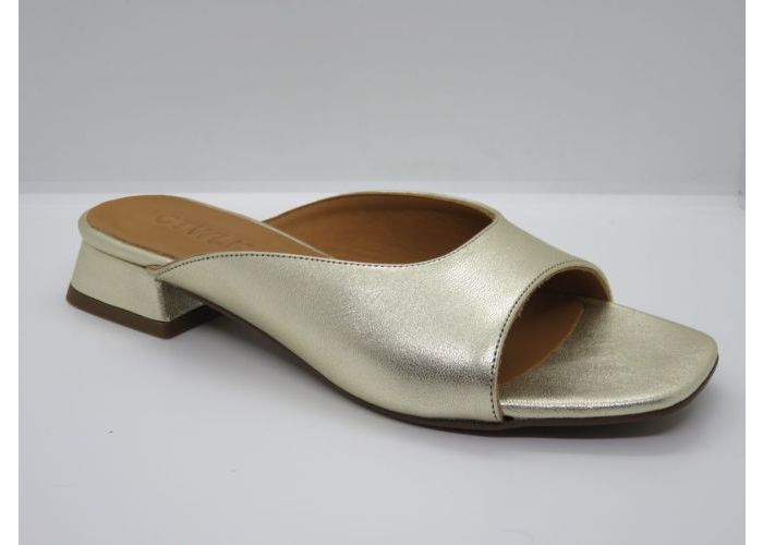 Ctwlk 21067 Slippers Goud