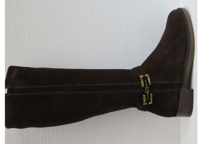 Dlsport 21824 Laarzen Bruin