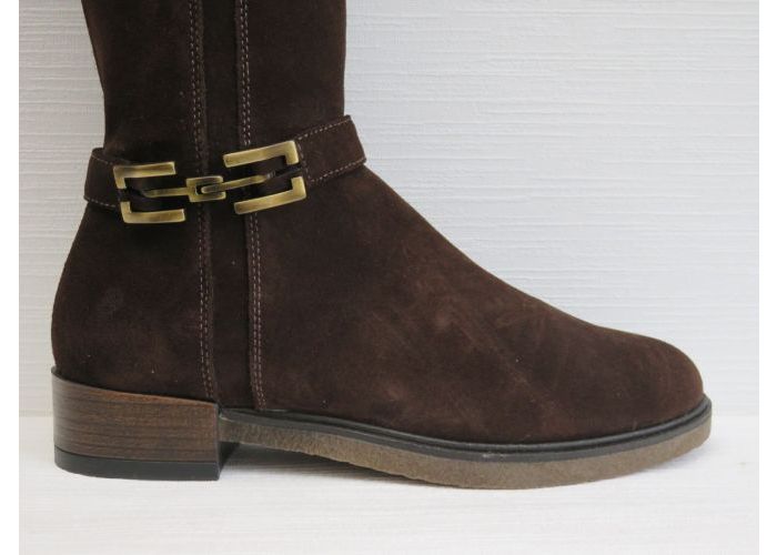 Dlsport 21824 Laarzen Bruin