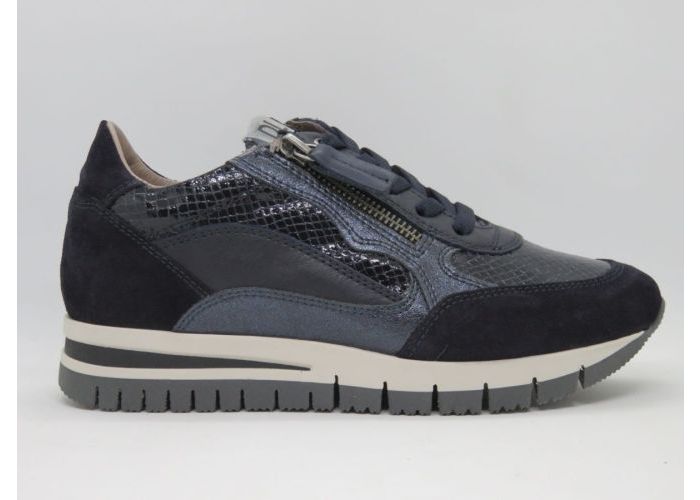 Dlsport 20777 Sneaker Blauw