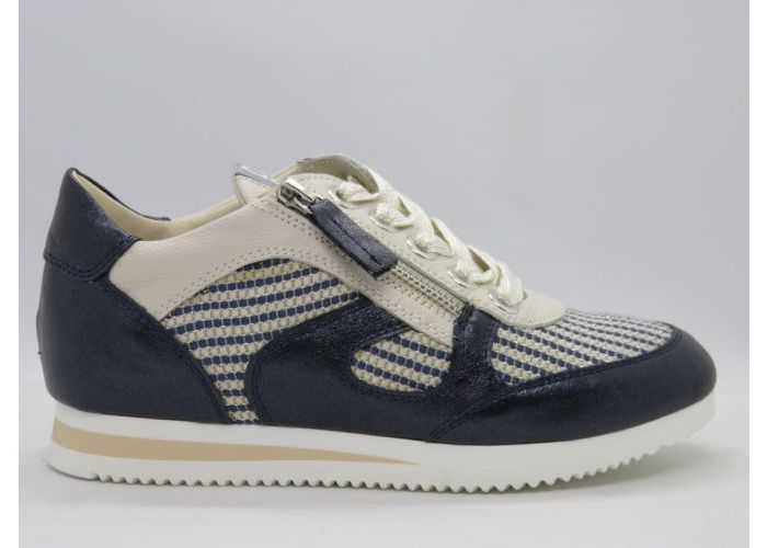 Dlsport 21240 Sneaker Blauw