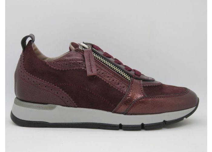 Damesschoenen Dlsport Sneaker 6719 Bordo