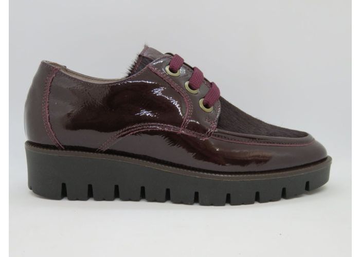 Dlsport 21623 Sneaker Bordo