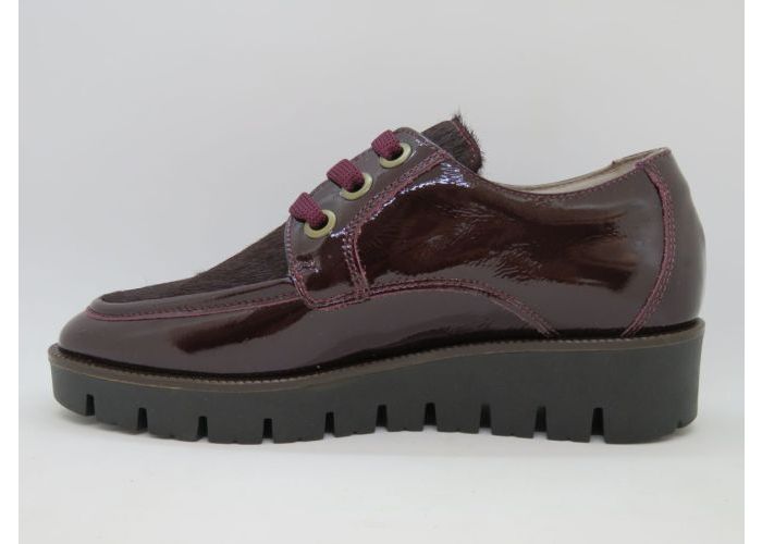 Dlsport 21623 Sneaker Bordo