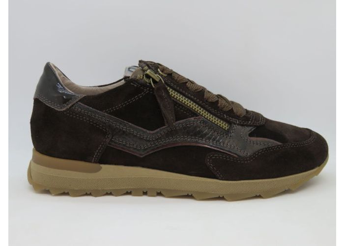 Dlsport 21616 Sneaker Bruin