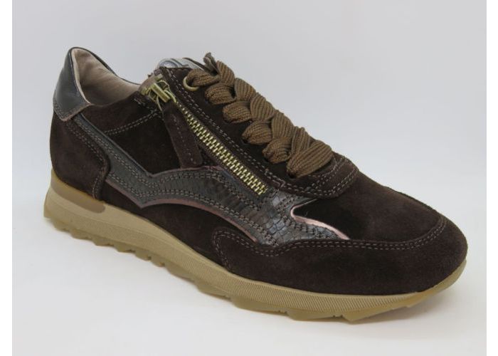 Dlsport 21616 Sneaker Bruin