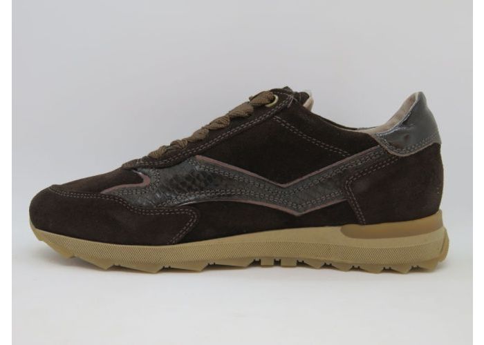 Dlsport 21616 Sneaker Bruin