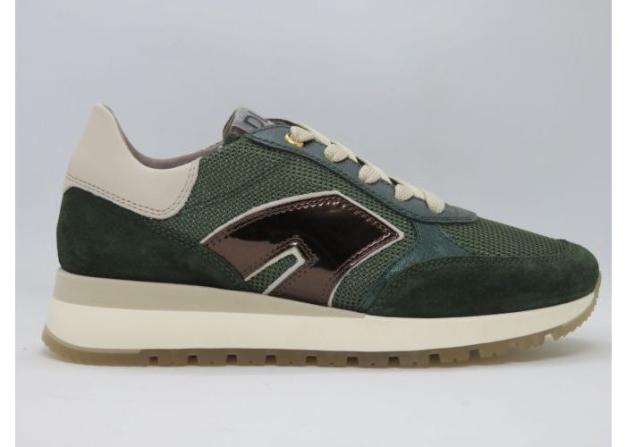 Damesschoenen Dlsport Sneaker 6343 Groen