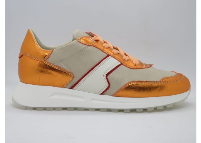 Damesschoenen Dlsport Sneaker 6203 Orange