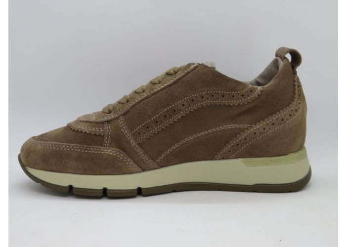 Dlsport 21619 Sneaker Taupe