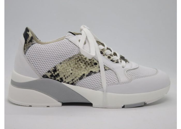 Dlsport 13919 Sneaker Wit