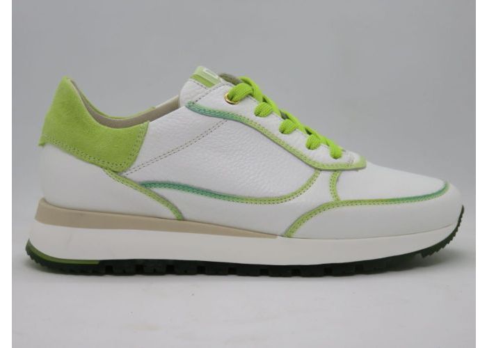 Dlsport 18070 Sneaker Wit