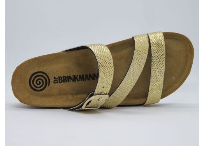 Dr. Brinkman 18135 Slippers Goud