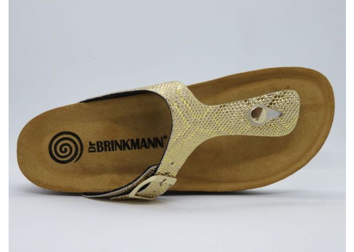 Dr. Brinkman 18134 Teenslipper Goud