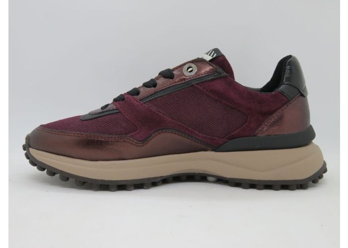 Floris Van Bommel 21663 Sneaker Bordo