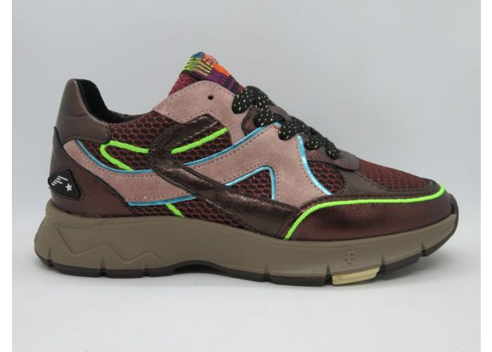 Floris Van Bommel 21662 Sneaker Bordo