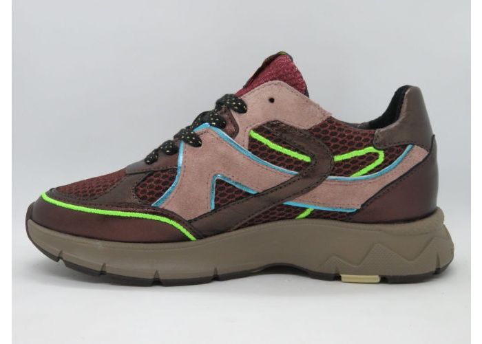 Floris Van Bommel 21662 Sneaker Bordo