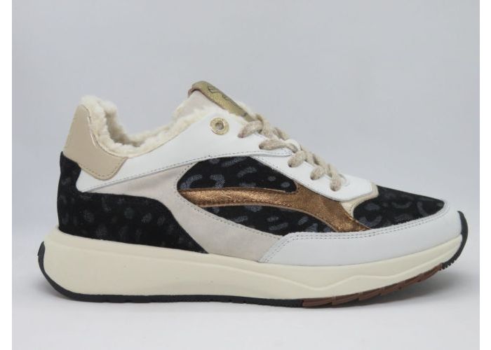 Floris Van Bommel 20993 Sneaker Ecru