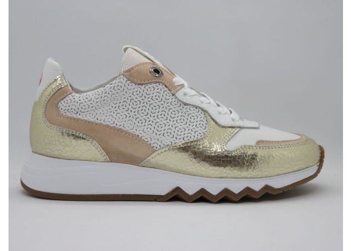 faillissement hoog optioneel Floris Van Bommel SFW-10078-91-01 sneaker goud - damesschoenen | Ruka Shoe  (Herzele)
