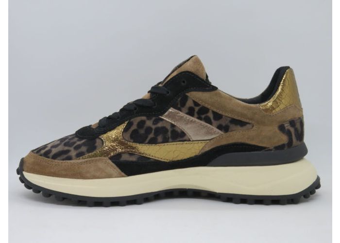 Floris Van Bommel 20716 Sneaker Taupe