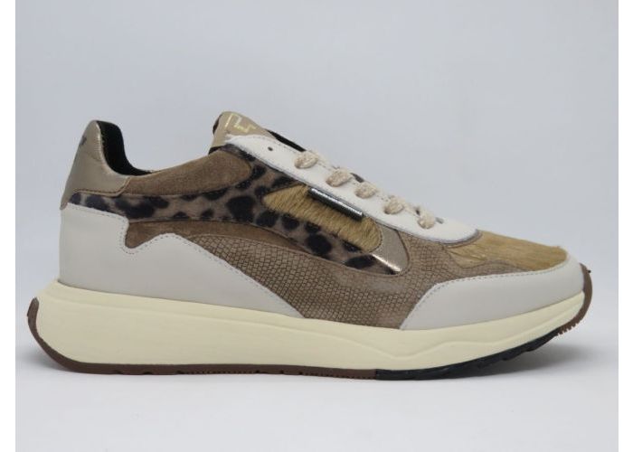 Damesschoenen Floris Van Bommel Sneaker SFW-10159-34-01 Taupe