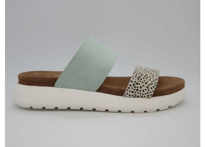 Maruti 15229 Slippers Groen
