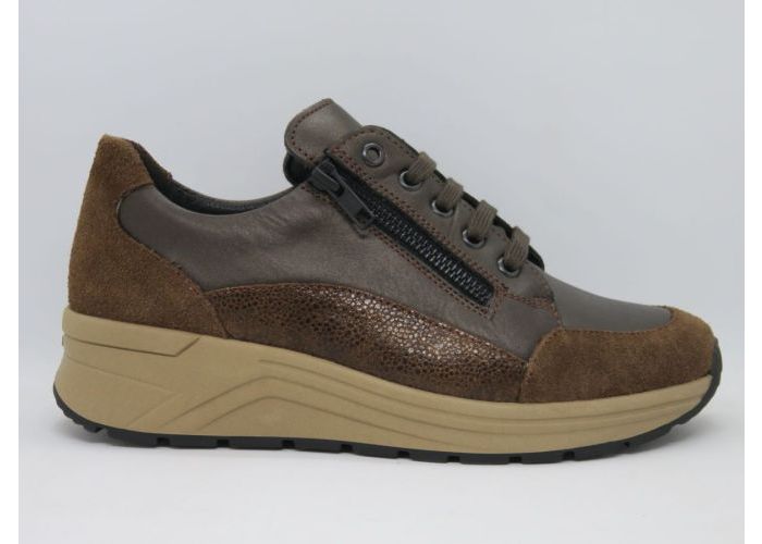 Solidus 20686 Sneaker Bruin