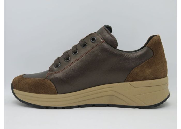 Solidus 20686 Sneaker Bruin