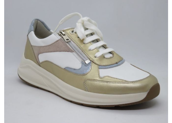 Solidus 20100 Sneaker Goud