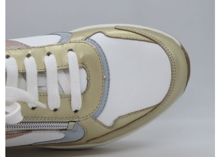 Solidus 20100 Sneaker Goud