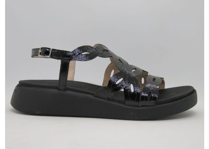 Wonders 19884 Sandalen Zwart