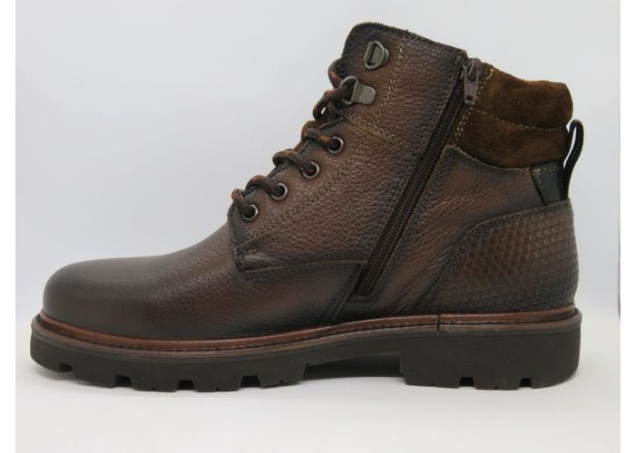 Australian 21739 Botien Bruin