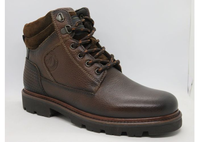 Australian 21739 Botien Bruin
