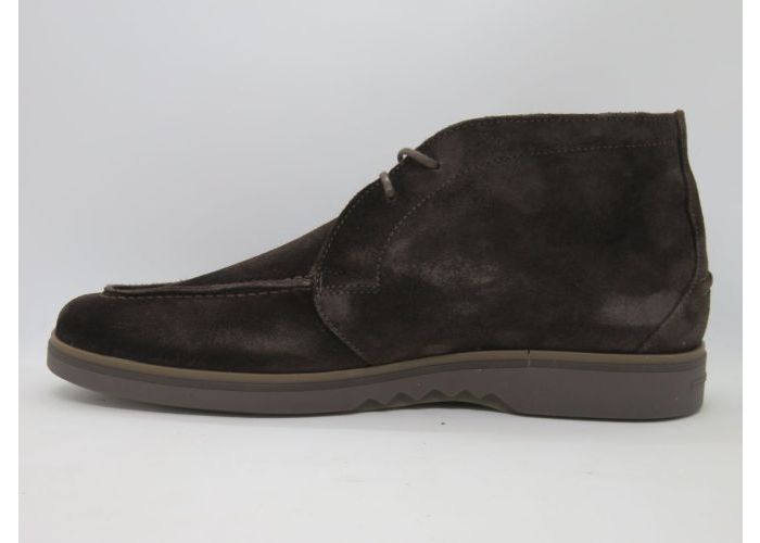 Floris Van Bommel 21664 Botien Bruin