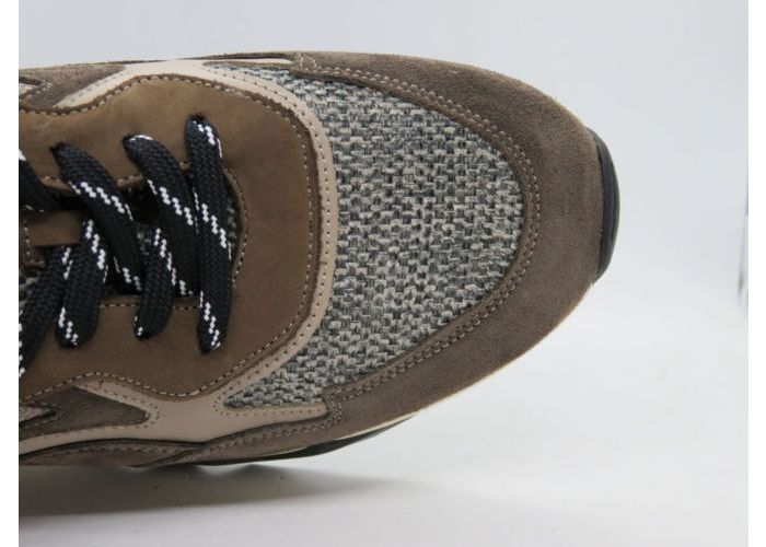 Floris Van Bommel 21755 Sneaker Taupe