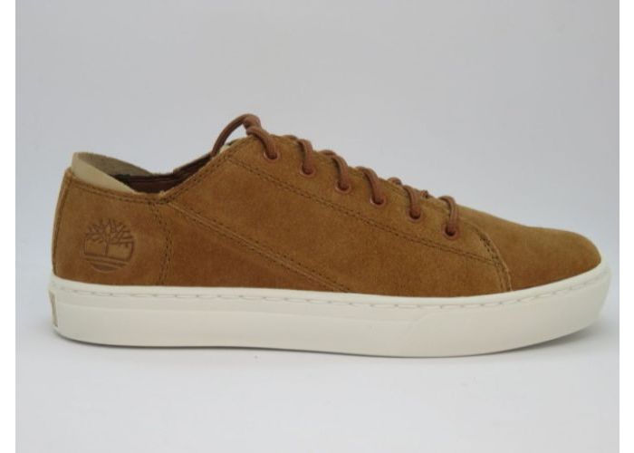 Herenschoenen Timberland Sneaker OA2DHP Camel